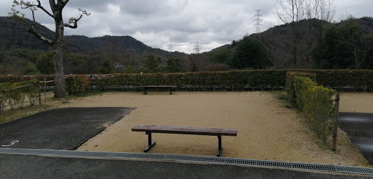 kyanpu (1).jpg