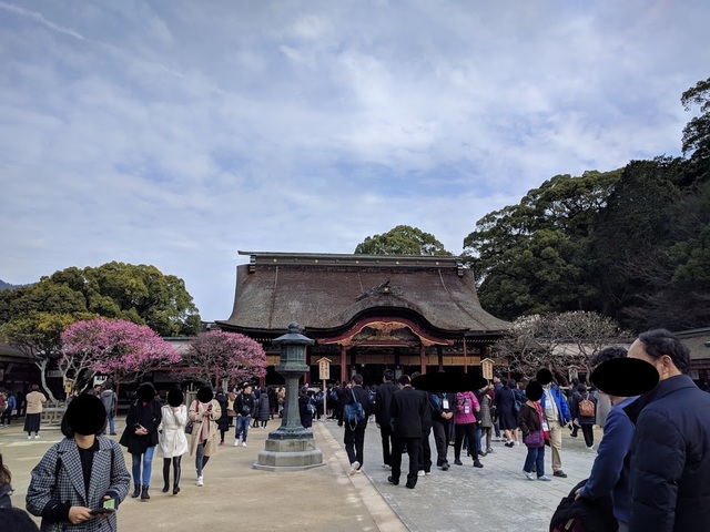 ryokou2 (1).jpg
